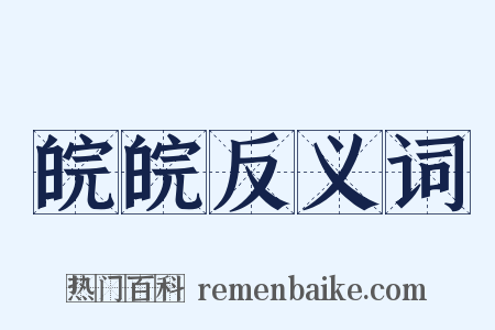 皖皖反义词是什么意思的图片